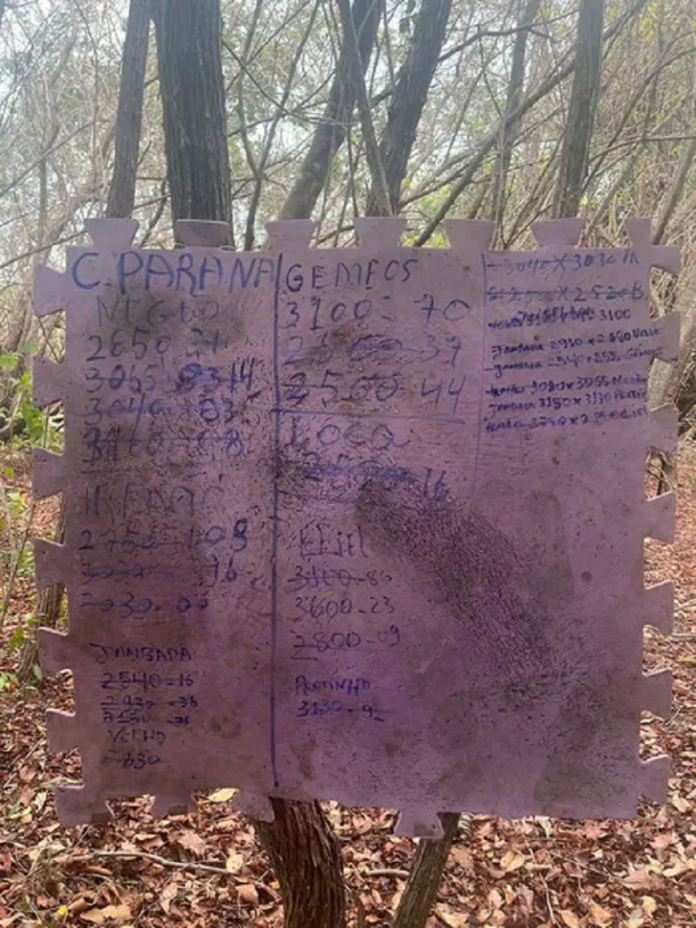 Foto: Dário Pedrosa/Divulgação