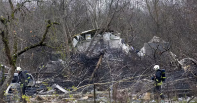 Avião cai em cima de casa perto de aeroporto na Lituânia — Foto: Mindaugas Kulbis/AP