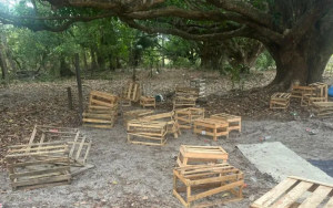 Foto: Dário Pedrosa/Divulgação