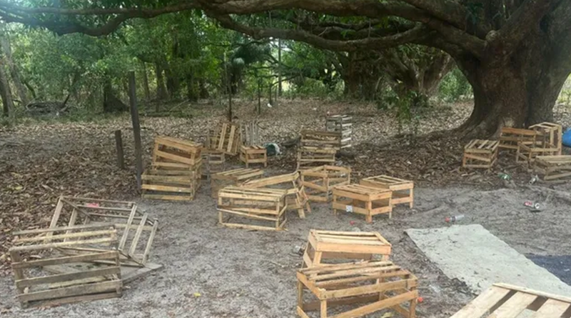 Foto: Dário Pedrosa/Divulgação