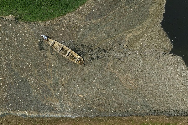 mortandade de peixes em santarém  | Foto: Lalo de Almeida