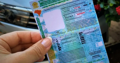 carteira de habilitação.webp