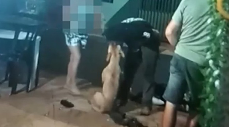 fotos-Recovered-Recovered