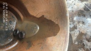 Fotos: Divulgação/Ibama