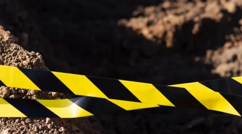 Imagem ilustrativa -Freepik.webp