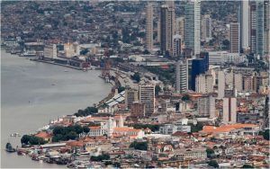 sebrae