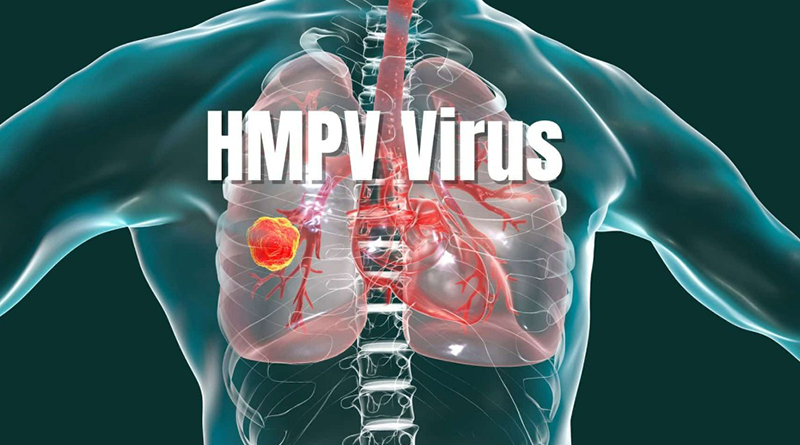 virus hmpv