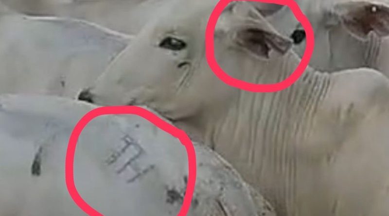 OCPhoto.761310102.414807