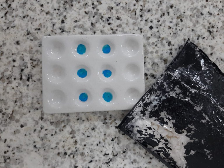 Foto: Reprodução /PF