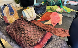 Foto: Igor Nascimento – Ascom Semas