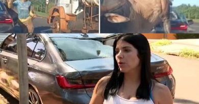 489047004_1247497200273844_6204764211345710904_n