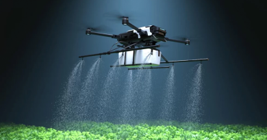 Foto Geo Sem Fronteiras