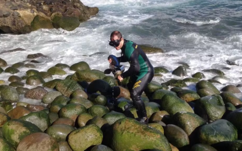 Guarda Civil Espanhola realizou apreensão em 2022 que contribuiu com investigação da PF para Operação Narco Vela — Foto: Guarda Civil Espanhola