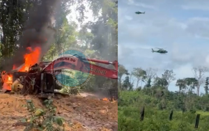 garimpo cripurizinho