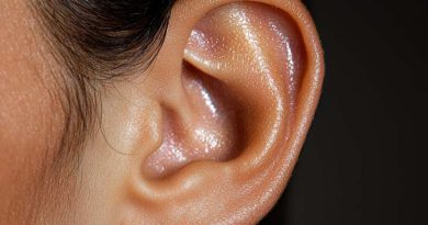 orelha-ilustrativo-730x550