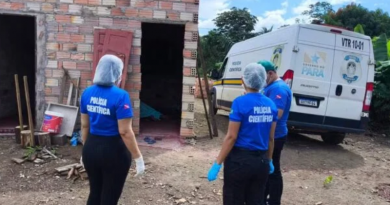 Novo Projeto - 2025-05-06T134357.442