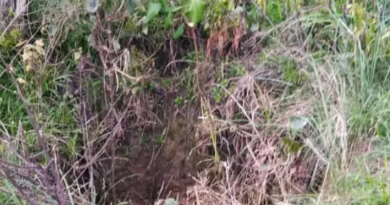 Novo Projeto - 2025-05-07T103005.642