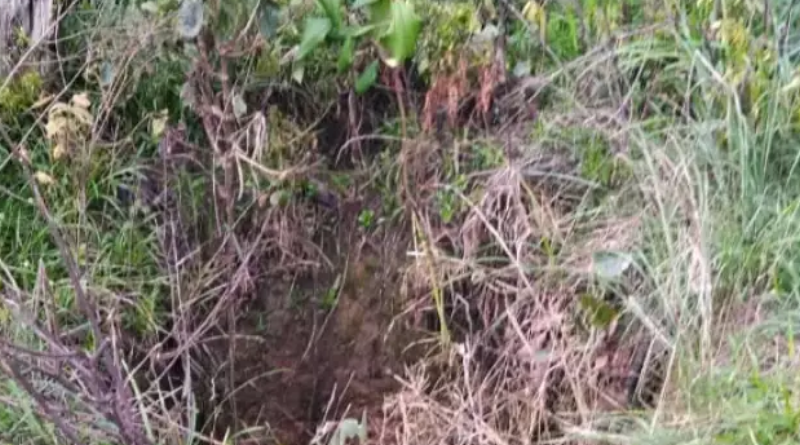 Novo Projeto - 2025-05-07T103005.642