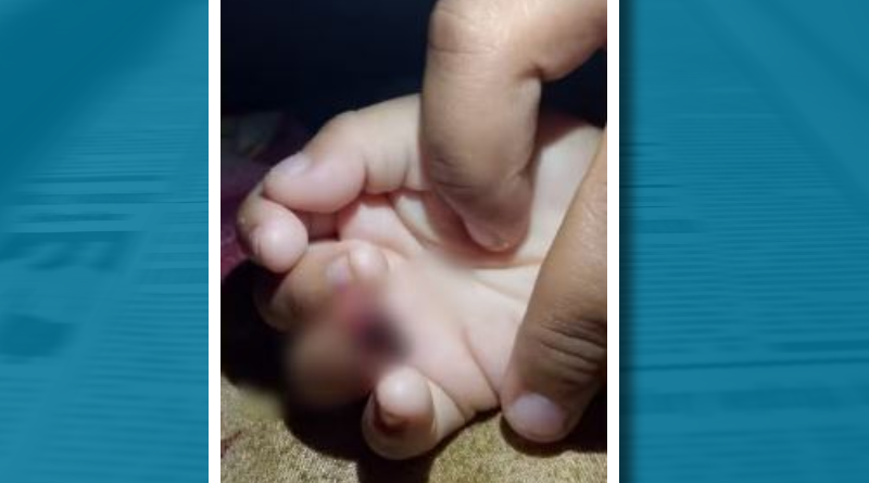 Novo Projeto - 2025-05-29T133228.663