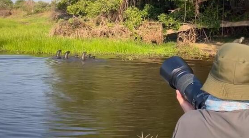 Novo Projeto - 2025-05-31T091158.690