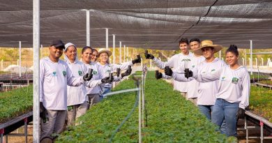 O viveiro da BJF emprega 11 viveiristas, além da equipe administrativa