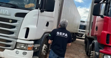 Sefa apreensão carne