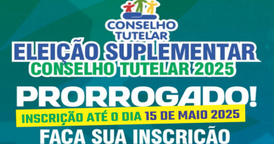 eleição conselho Novo Progresso