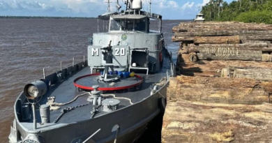 operação da Marinha apreende mais de 2 mil metros cúbicos de madeira no Pará