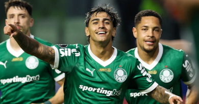 palmeiras (1)