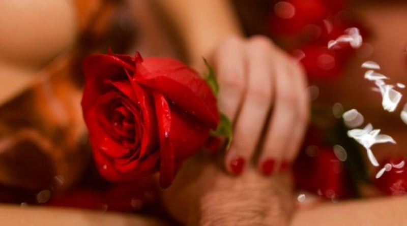 Novo Projeto - 2025-06-02T094018.690