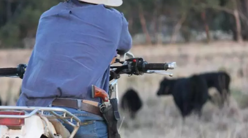 Novo Projeto - 2025-06-02T095735.177