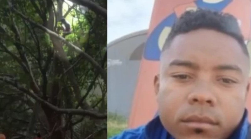 Novo Projeto - 2025-06-04T124101.628