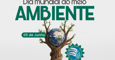Novo Projeto - 2025-06-05T090516.987