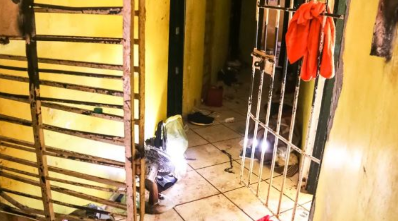 Novo Projeto - 2025-06-05T135836.350