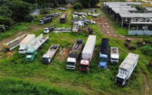 Foto:  A Voz do Xingu