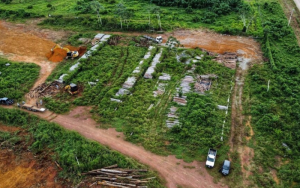 Foto:  A Voz do Xingu
