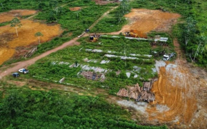 Foto:  A Voz do Xingu