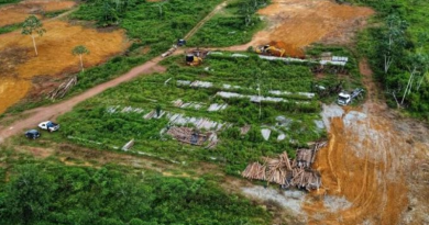 Foto:  A Voz do Xingu