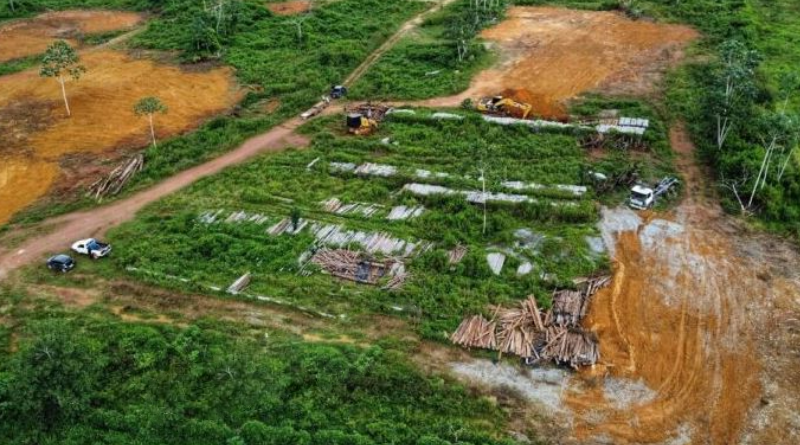 Foto:  A Voz do Xingu