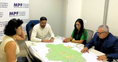 Novo Projeto - 2025-06-06T091835.841