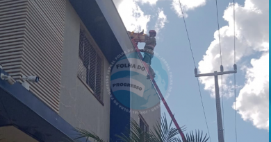 acidente alta tensão em NP