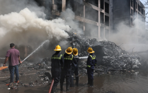 Das 242 pessoas, 217 são adultos, 11 crianças e dois bebês. | © REUTERS/Amit Dave