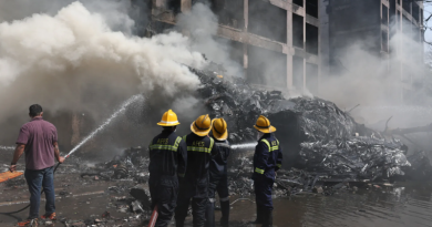 Das 242 pessoas, 217 são adultos, 11 crianças e dois bebês. | © REUTERS/Amit Dave