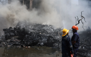 Das 242 pessoas, 217 são adultos, 11 crianças e dois bebês. | © REUTERS/Amit Dave