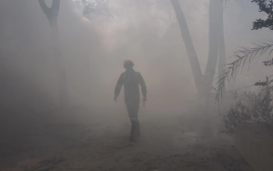 Das 242 pessoas, 217 são adultos, 11 crianças e dois bebês. | © REUTERS/Amit Dave