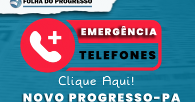 contatos emergencia np