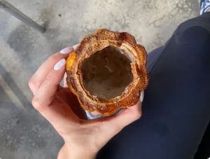 Néctar do cacau deve ser consumido dentro de 12 horas, porque depois pode ganhar alto teor alcoólico por conta do processo natural de fermentação da bebida, segundo a Xipaya. — Foto: Juliana Bessa / g1