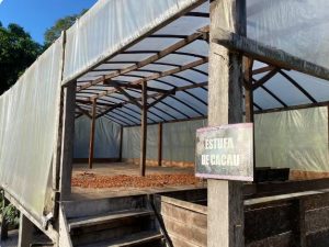 Estufa de cacau na Jericoá 2, onde as sementes passam pela secagem. Este é o terceiro passo do beneficiamento das sementes, que começa com a retirada dos frutos ao armazenamento. O processo todo, de acordo com Katyana, leva, em média, 15 dias. — Foto: Juliana Bessa / g1