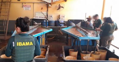 ibama