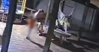 menino de 2 anos mata mae